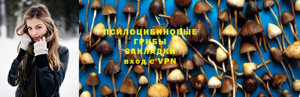 героин Каменка