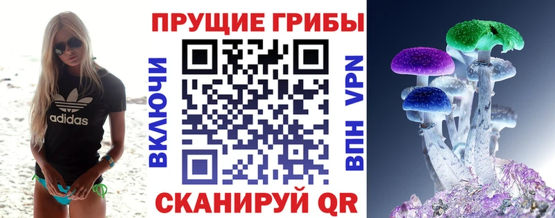 Псилоцибиновые грибы Magic Shrooms  Купить где  Порхов 